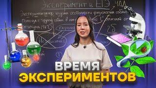 Эксперимент в ЕГЭ: просто и понятно за 5 минут