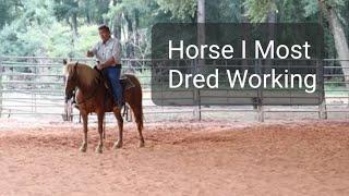 The horse I most dred getting on each day