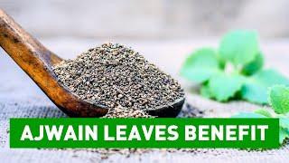 The Incredible Health Benefits of Ajwain Leaves - The Secret Superfood