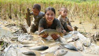 Harvest beans to sell at the market - catch giant fish, cook with your children