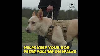 Team K9 No-Pull Dog Harness