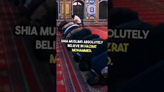 Is Shia Muslim ️ Believe in Hazrat Muhammad #viral #shorts #islam