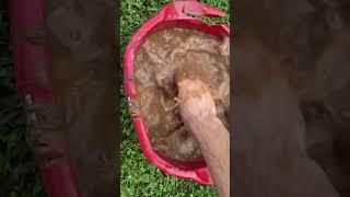 Oddly Satisfying Mud Cleaning | Revealing Hidden Treasures #oddlysatisfying #satisfying