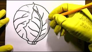 How to Draw a Cabbage Awesome Vegetable #viralvideo Easy 3D Step By grow signage Vegetarian Diet