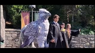 Japan's Wizarding World of Harry Potter,Flight of the Hippogriff,Forbidden Journey,Universal Studios