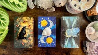 WHO is coming towards YOU in LOVE? ‍⬛️ PICK A CARD READING ️‍⬛ TIMELESS ⏳⏳⏳