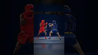 #wushu #wushu_sanda #boxing #youtube #javadkhanzadeh#mma