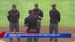 Virginia picked to win ACC in Baseball, Virginia Tech selected 12th, LU picked 5th in C-USA