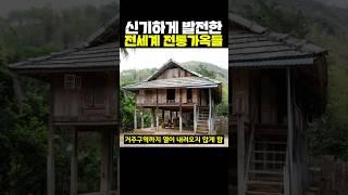 신기하게 발전한 전세계 전통 가옥들