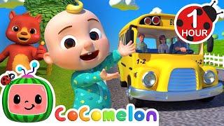 Wheels on the Bus - CoComelon | Kids Cartoons & Nursery Rhymes | Moonbug Kids