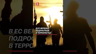 В ЕС вербуют подростков в террористы! #ес #евросоюз #преступность #чп #политика #новости