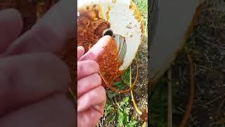 УЖАС/В скважине Железо/-Заказать скважину Волгоград + область +7-904-437-41-84 Александр на связи.