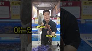 무늬오징어 vs 일반 오징어 찜하면 맛 차이가 많이 날까?