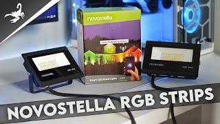 Novostella LED Flood Lights | Unboxing & First Impressions