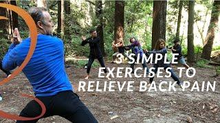 3 Easy Exercises to Relieve Back Pain Naturally - Get Natural Back Pain Relief