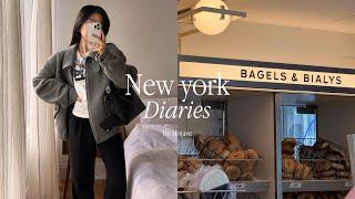 New York Vlog  Cozy Winter Days | Stationery Haul  | Strawberry Cinnamon Roll [Eng Sub]