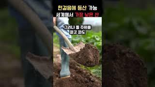 한 걸음에 등산 가능한 세계에서 가장 낮은 산 #실존