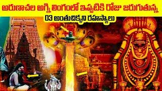 అరుణాచల క్షేత్ర మహాత్యం  History of Arunachalam | Arulmigu Arunachaleswarar Temple History in Telugu