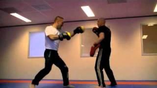 Andy Souwer Pads Training