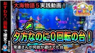 【大海物語5】実践動画！夕方なのに0回転の台に座ってみると奇跡が！（編集部ビル君実践動画2023/6/7）