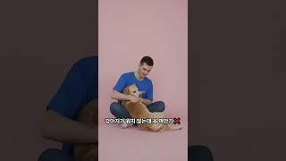 강아지한테 절대 하면 안되는 행동  #강아지 #dogshorts #dog #dogs #개 #보호자 #반려견 #반려동물 #강아지쇼츠 #강아지영상 #멍멍이 #교육 #꿀팁 #puppy