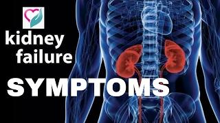 Kidney Disease - Failure symptoms & signs | Ethnic Health Court