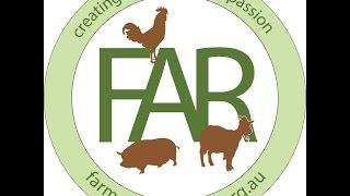 Farm Animal Rescue 2015