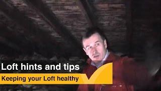 Loft tips: How to ensure your attic is healthy