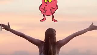VID 20170928 WA0004