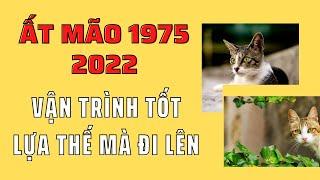 Tử vi ất mão 1975 năm 2022 mọi việc hanh thông tài lộc rủng rỉnh