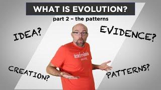 Evolution: Fact or Fiction? Part 2 - The Patterns