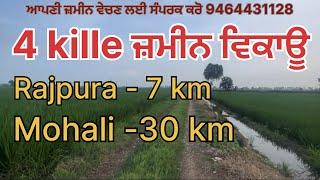 4 kille land for sale near Rajpura | Land for sale near highway | Land for sale on Link Road #new