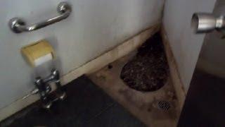 Odd Toilet Building in Japan!