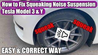 Tesla Model 3 & Model Y, X - How to Fix Squeaking Noise Suspension (easy and correct way)