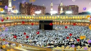Allah Hu Allah Hu Allah | New Naat | Hamd | Aal e aba
