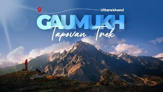 Gaumukh Tapovan Trek 2024 | Gangotri to Gaumukh Yatra - Source of Ganga | Trek The Himalayas