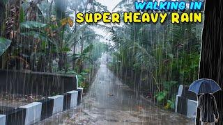 Relieve Insomnia with This 2 Hours Soothing Heavy Rain Walk in Quiet Village