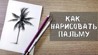 УРОК 2 - КАК ЛЕГКО НАРИСОВАТЬ ПАЛЬМУ | Нарисовать пальму поэтапно  | детальный разбор!
