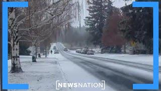 Idaho reporter: People are locking their doors, carrying guns | Banfield