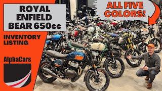 Walk-Through All Five Colors of the 2025 Royal Enfield Bear 650!