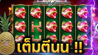 Super Fortune Dragron | เม็ดแดงๆนั้นมันเม็ดอะไร !!