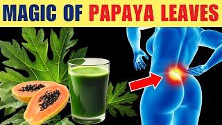 11 Incredible Health Benefits of PAPAYA LEAVES You Wish You Knew Sooner