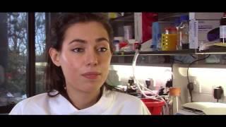 Work Placements - My Journey with Cancer Research UK