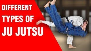 Different Types of Ju Jutsu | ART OF ONE DOJO