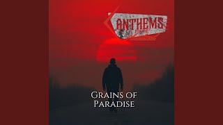 Grains of Paradise