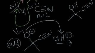 Cyanohydrin and Geminal Diol Formation