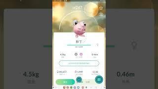 2024年1月Pokémon Go New Year’s 2024寶可夢精靈Jigglypuff wearing a ribbon 戴著絲帶的胖丁プリンJigglypuff港譯波波球gotcha