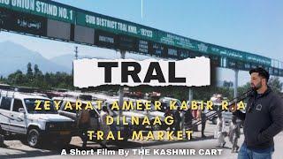 Explore The Beauty Of TRAL | The Most Beautiful Place In South Kashmir | Cinematic Video