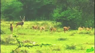 It's natural to feel nervous before an love natural life humans like this 