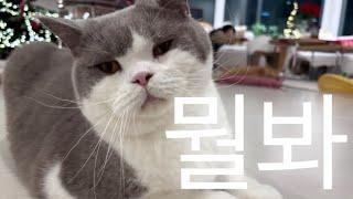고영주택에 가다